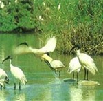 Bharatpur