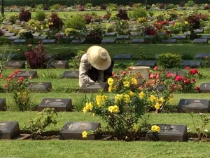Kanchanaburi War Cemetery, the main Prisoner of War cemetery associated with victims of the Burma Railway.