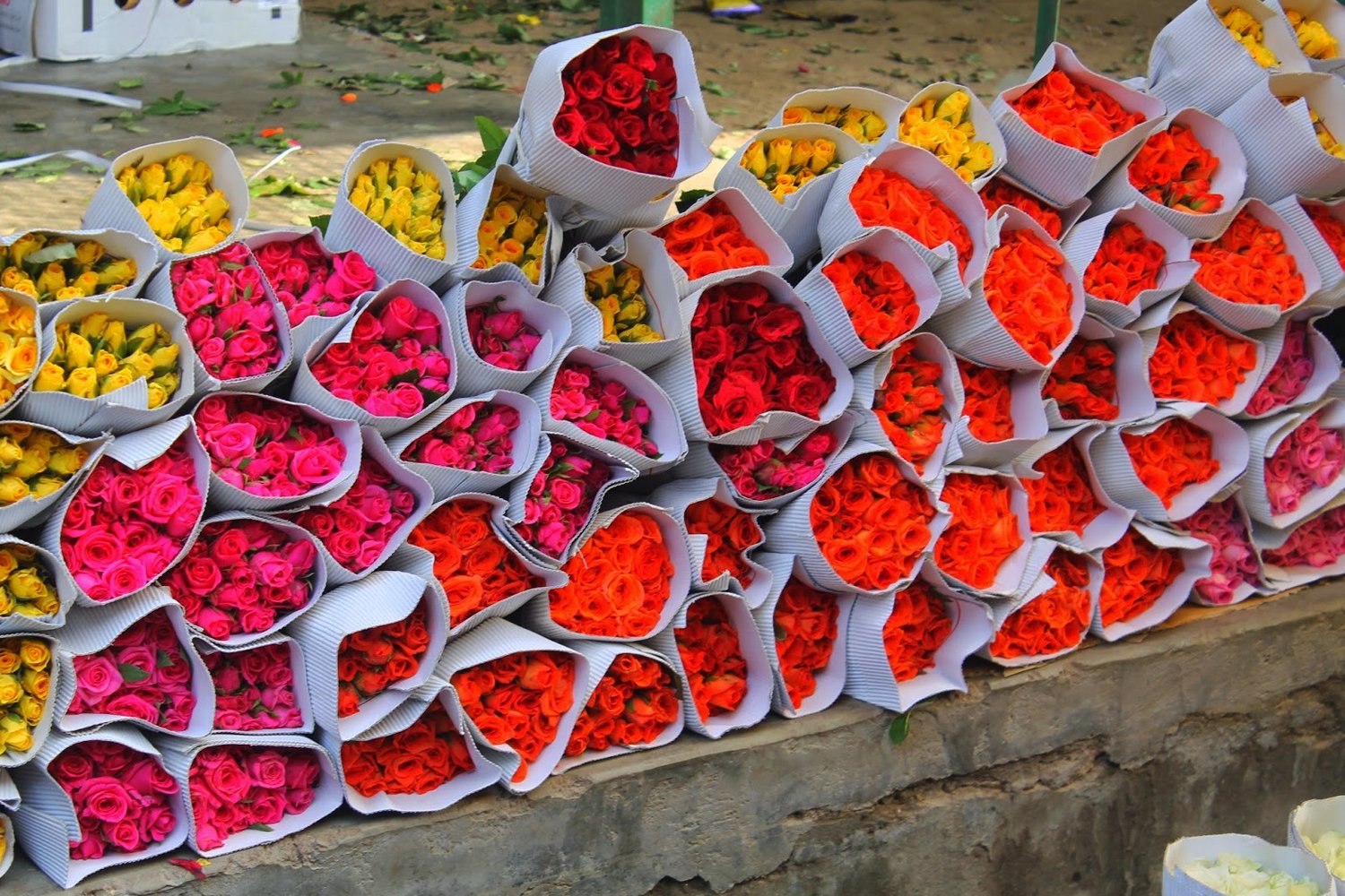 Delhi-4