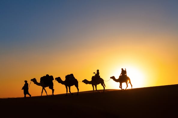 UAE Desert Safari 