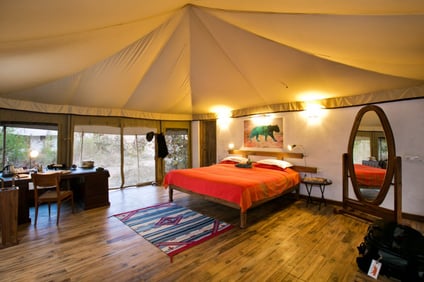 Tents at Jamtara Wilderness Camp Tents at Jamtara Wilderness Camp