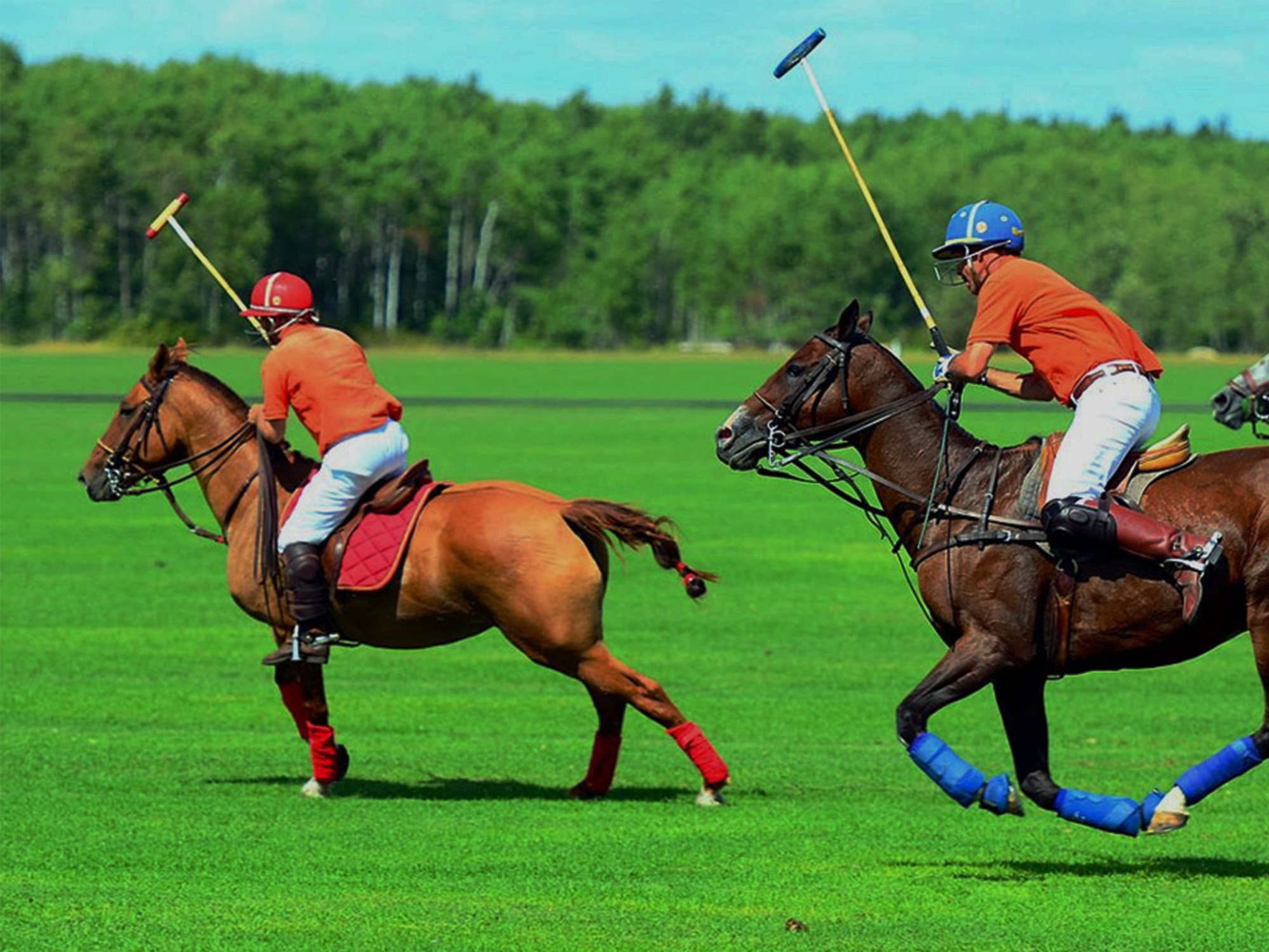 The Royal Pastime-1