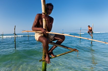 Stilt fishermen in Sri Lanka during the best weather. Stilt fishermen in Sri Lanka during the best weather.