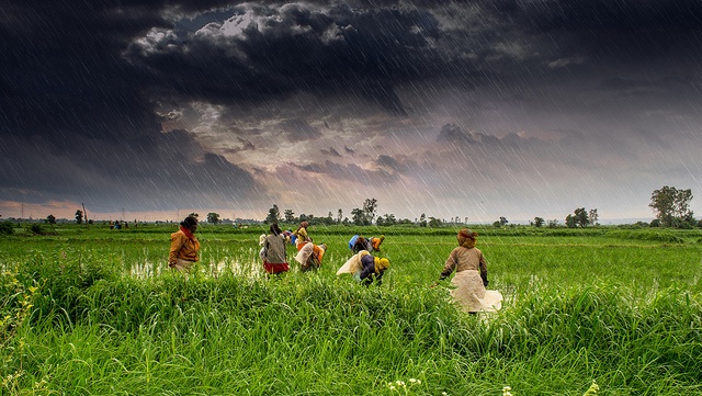Monsoon in India. Photo courtesy of Rajarshi Mitra/Flickr. Monsoon in India. Photo courtesy of Rajarshi Mitra/Flickr.